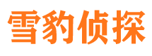 大英寻人公司